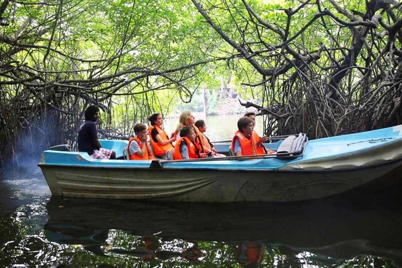 Discover Sri Lanka – Scenic Heritage & Coastal Escape photo 4