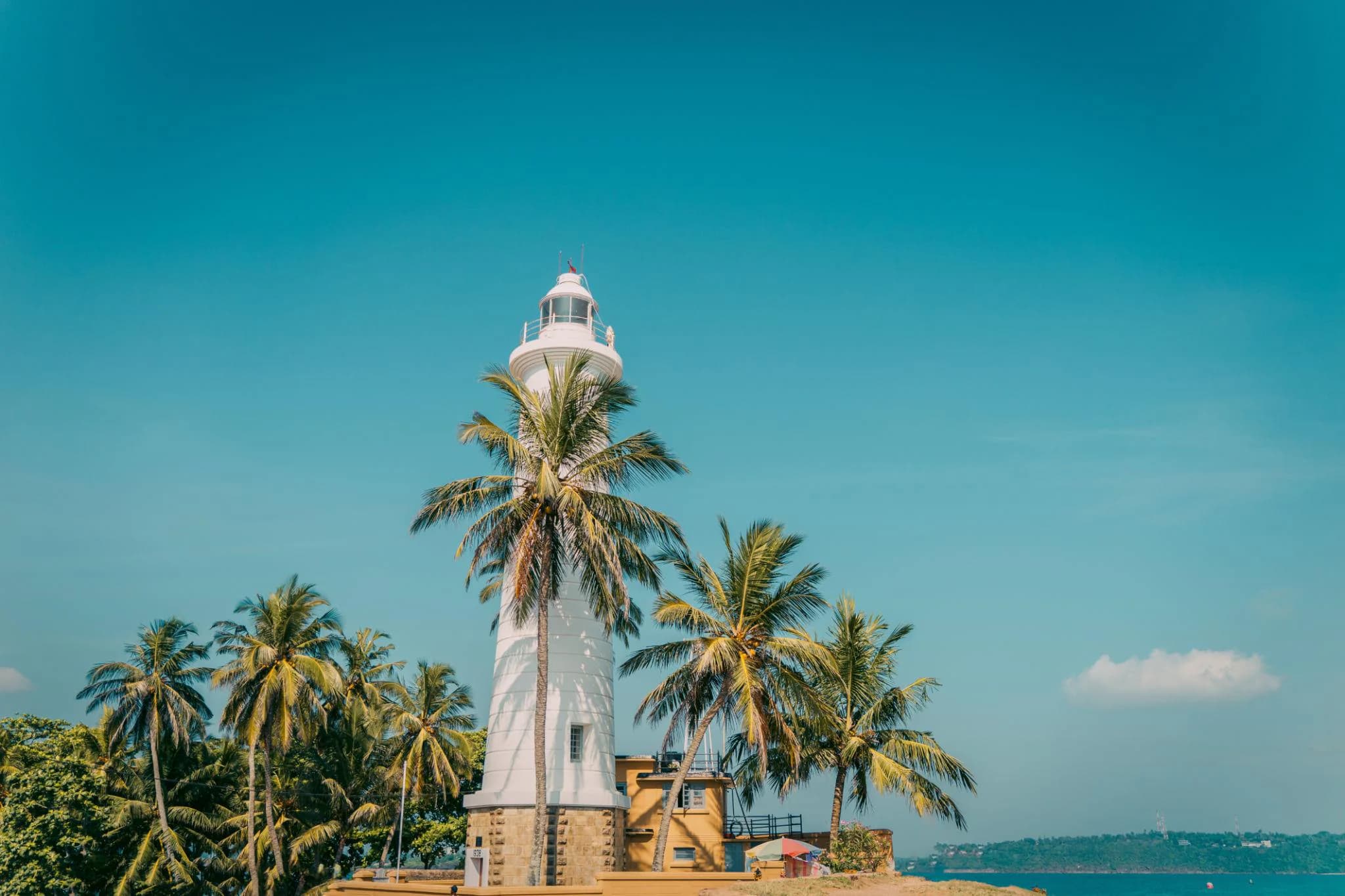 Explore Bentota and Colombo photo 2