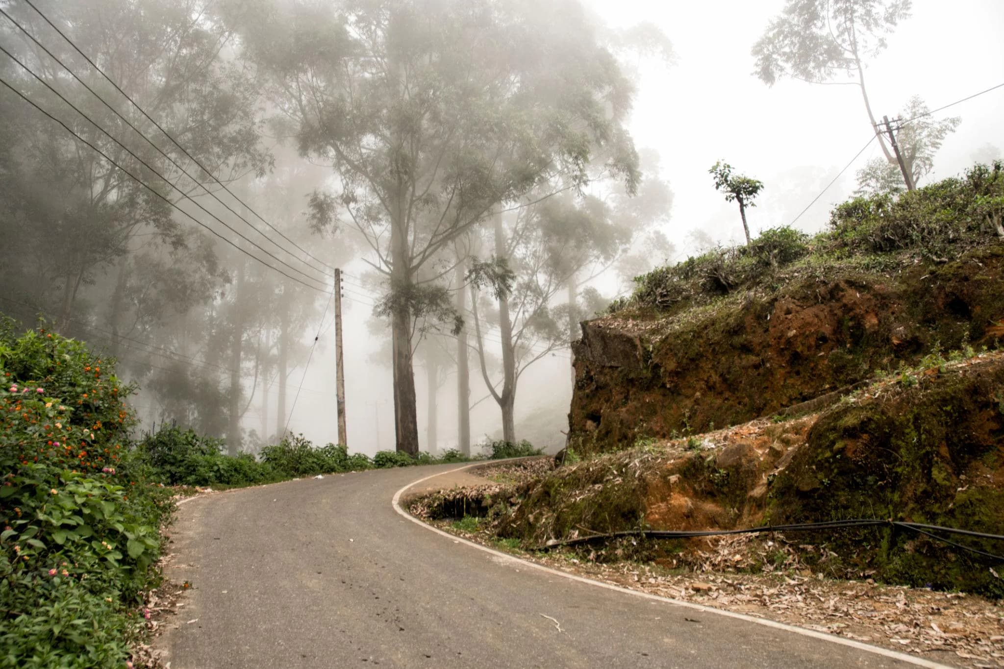 Explore Sri Lanka the Halal Way 08 Nights / 09 Days photo 2